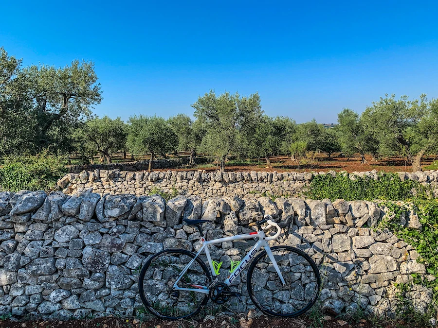 road bike gravel bike rental in Monopoli Cycling in Apulia